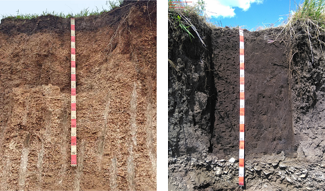 地表基质调查：黑土地退化科学治理新视角